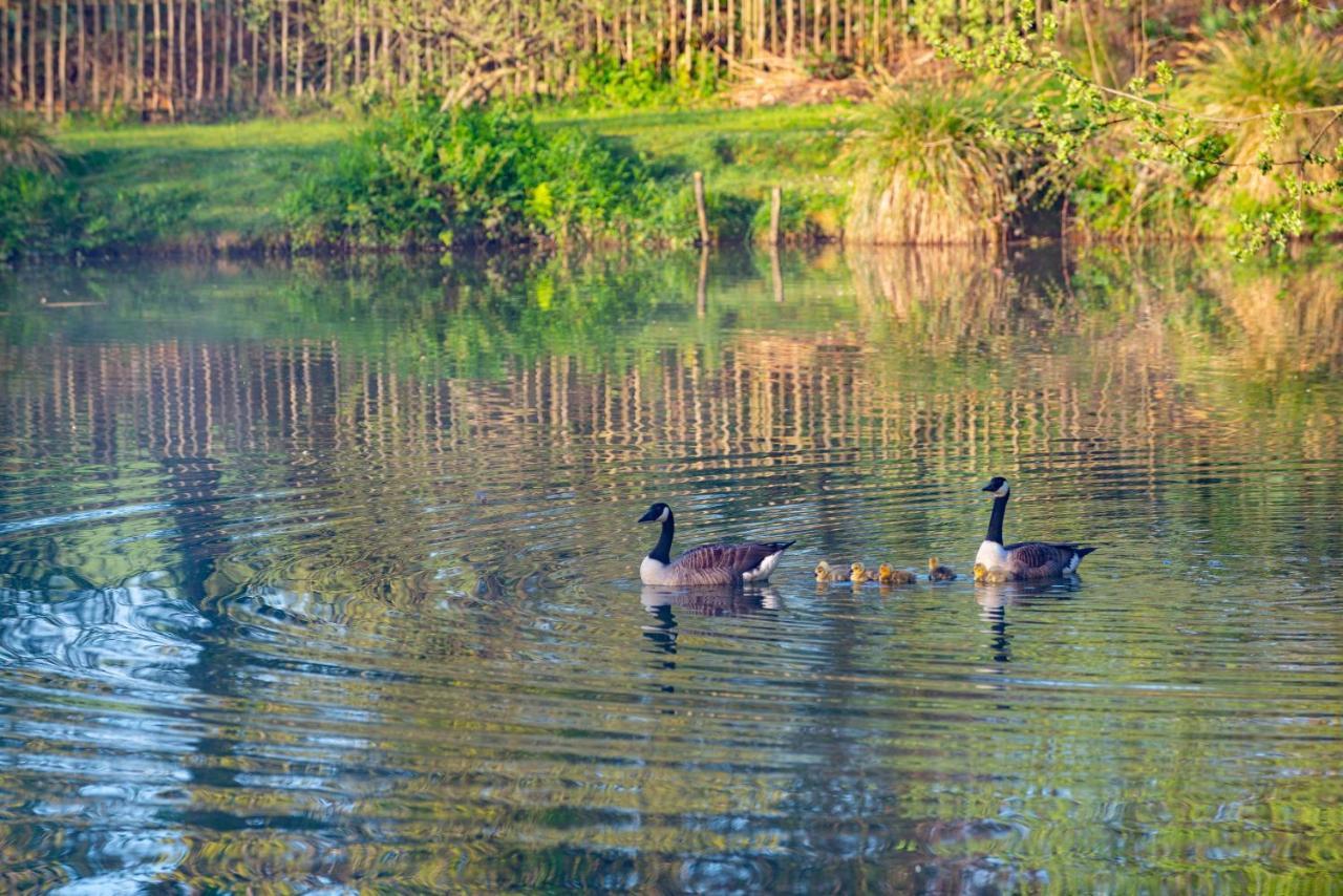 Our Goldfinch 1- Sleeps 2 Persons- Private Hot Tub-Pet Friendly-Tranquil Holiday Away From It All Yet Not Far From St Austell- The Holiday Home Has One Bedroom, Living And Dining Area, Equipped Kitchen-Decking-Outdoor Furniture-Fishing Lakes And More Grampound Buitenkant foto